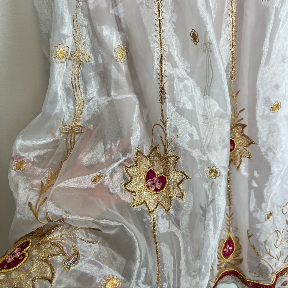 Saree Shawl with Skirt Set- Sheer pearl with sun embroidery and beading - Picture 6 of 10